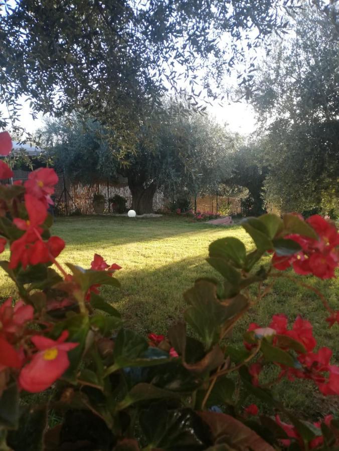 Bed and Breakfast Lory à Elice Extérieur photo
